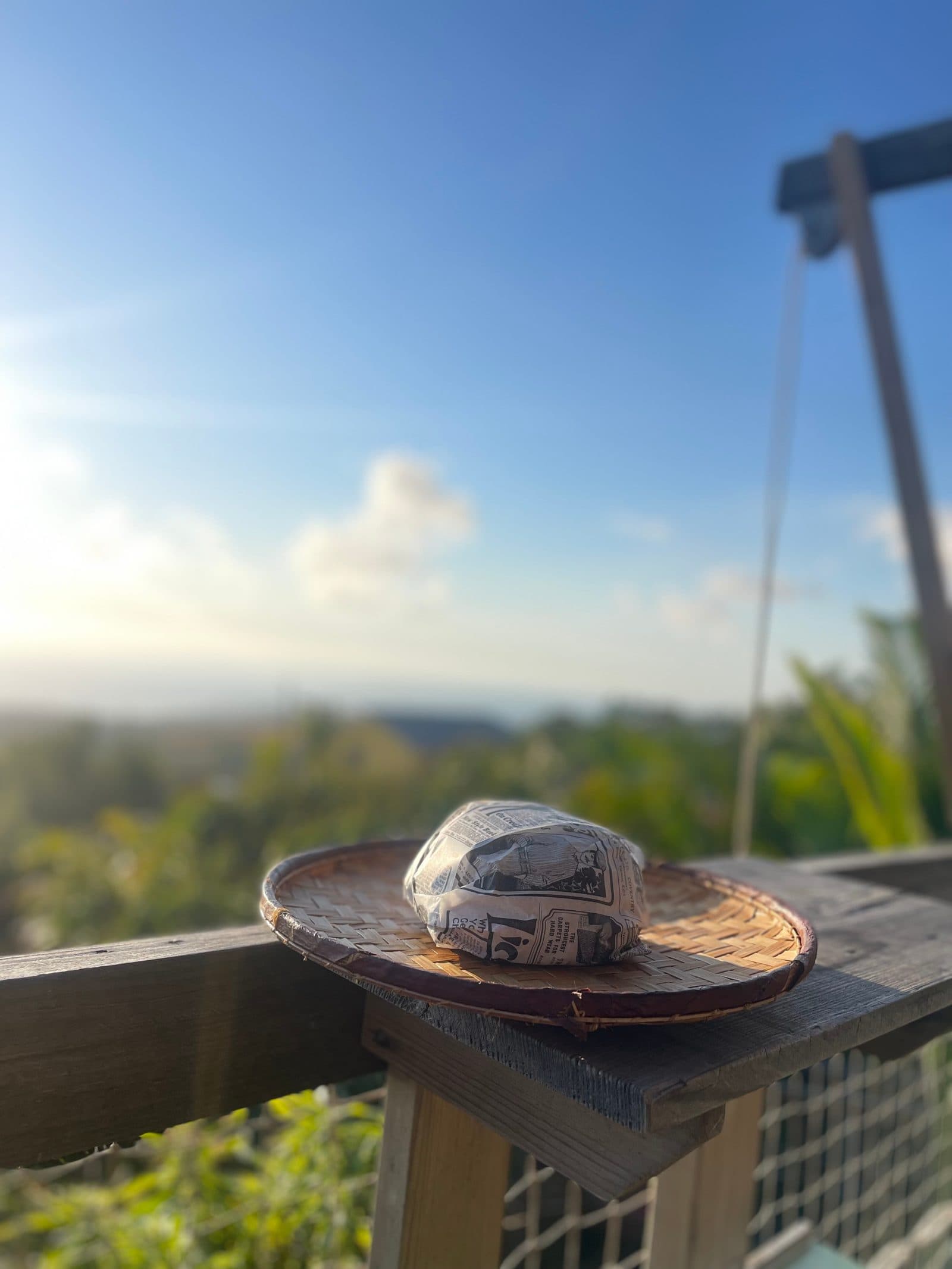 Dada Burger dans un paysage de La Réunion